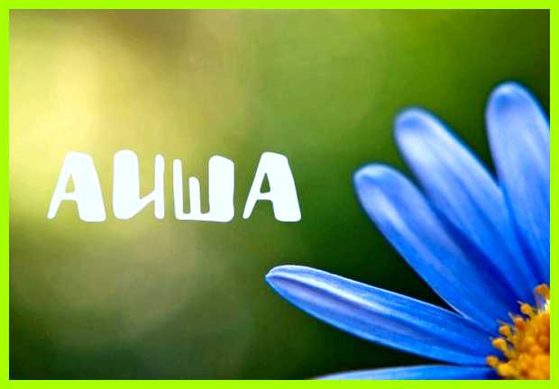 Аиша значение в исламе Также имя Аиша принадлежало всего