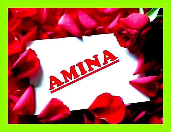 Амина значение и происхождение