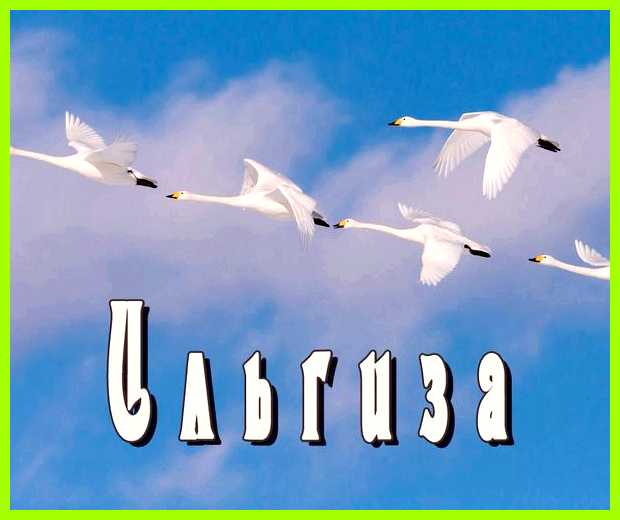 Значение имени ильгиза Четверки очень трудолюбивы, стрессоустойчивы Значение имени ильгиза Четверки очень трудолюбивы, стрессоустойчивы