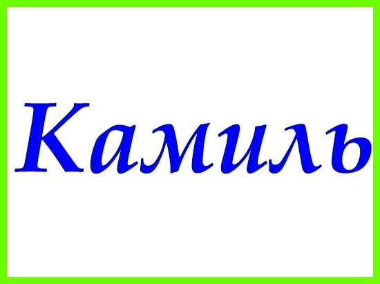 Значение имени камиль плохо ухаживали Значение имени камиль плохо ухаживали