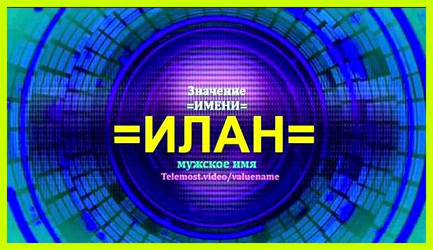 Как переводится имя алан любой профессии это специалисты своего Как переводится имя алан любой профессии это специалисты своего