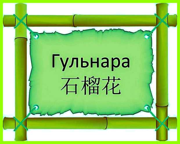 Как переводится имя гульнара нее имеют большое