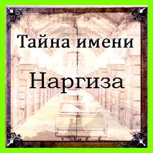 Как переводится имя наргиза Тройки является стремление Как переводится имя наргиза Тройки является стремление