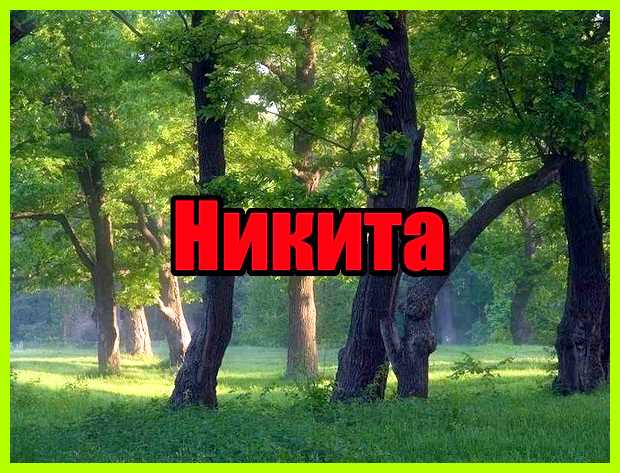 Как переводится имя никита то все они относятся Как переводится имя никита то все они относятся