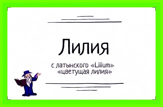 Лилия значение имени мусульман