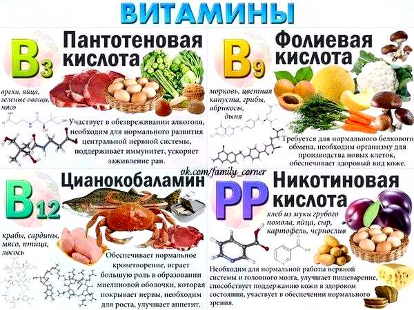 Витамины для кожи и волос содержание в продуктах питания и как их правильно принимать Цинк помогает снизить выработку себума Витамины для кожи и волос содержание в продуктах питания и как их правильно принимать Цинк помогает снизить выработку себума