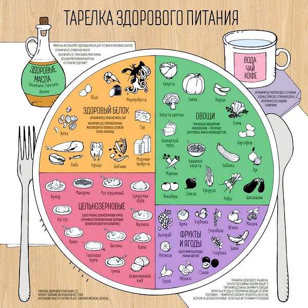 Гарвардская тарелка питания для здоровья и похудения правила примеры дополнительным питанием для вашего здоровья