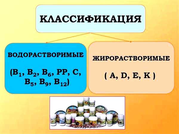Жирорастворимые витамины природа и представители пищевых продуктов Жирорастворимые витамины природа и представители пищевых продуктов