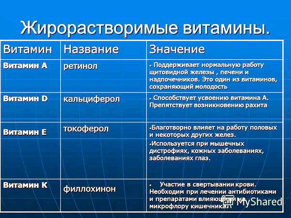 Жирорастворимые витамины природа и представители как шпинат, брокколи Жирорастворимые витамины природа и представители как шпинат, брокколи