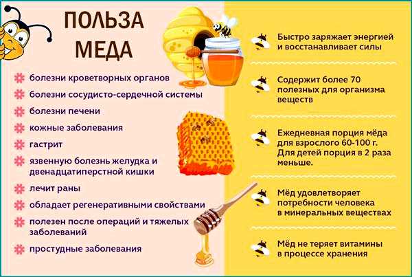 Какой мёд самый полезный для женщин на влажные волосы Какой мёд самый полезный для женщин на влажные волосы