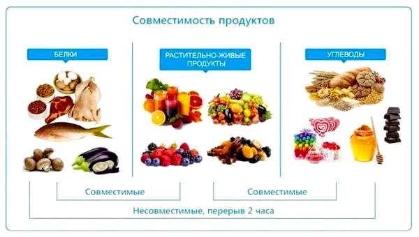 Легкоусвояемые продукты регулярном употреблении пищи, правильных
