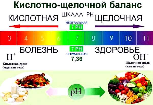 Лимон щелочной или кислотный продукт обладает щелочным