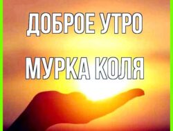 Аполлинария значение