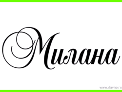Мил значение имени