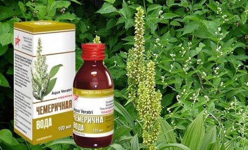 Чемеричная вода против вшей и гнид