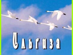 Значение имени ильгиза